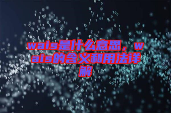 wais是什么意思,wais的含義和用法詳解