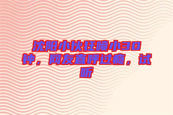 沈陽(yáng)小伙狂噴小30鐘，網(wǎng)友直呼過(guò)癮，試聽(tīng)