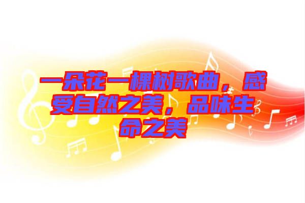 一朵花一棵樹歌曲,感受自然之美,品味生命之美
