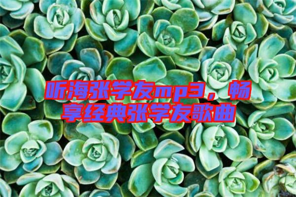 聽海張學友mp3,暢享經(jīng)典張學友歌曲