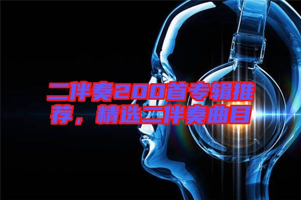 二伴奏200首專輯推薦,精選二伴奏曲目