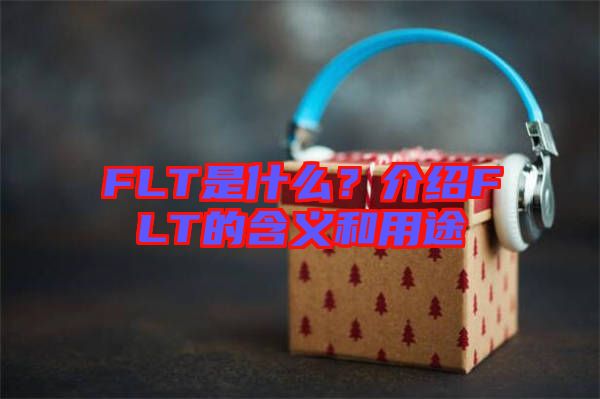 FLT是什么?介紹FLT的含義和用途