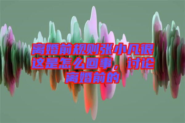 離婚前規則張小凡很這是怎么回事，討論離婚前的