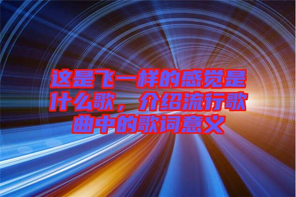 這是飛一樣的感覺是什么歌,介紹流行歌曲中的歌詞意義