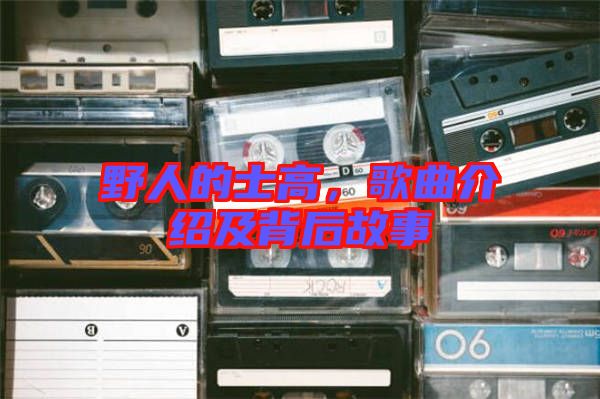 野人的士高，歌曲介紹及背后故事