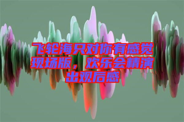 飛輪海只對(duì)你有感覺(jué)現(xiàn)場(chǎng)版，歡樂(lè)會(huì)精演出觀后感