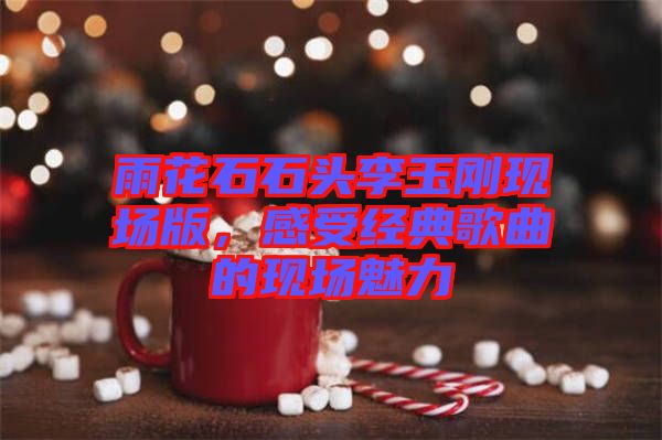 雨花石石頭李玉剛現(xiàn)場(chǎng)版,感受經(jīng)典歌曲的現(xiàn)場(chǎng)魅力