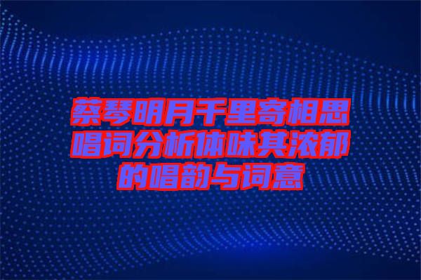蔡琴明月千里寄相思唱詞分析體味其濃郁的唱韻與詞意
