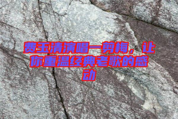 費玉清演唱一剪梅，讓你重溫經典老歌的感動