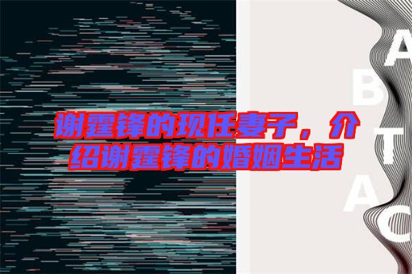 謝霆鋒的現(xiàn)任妻子，介紹謝霆鋒的婚姻生活