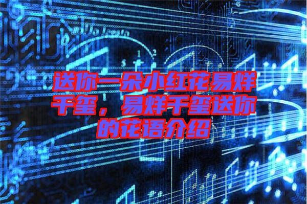 送你一朵小紅花易烊千璽,易烊千璽送你的花語介紹