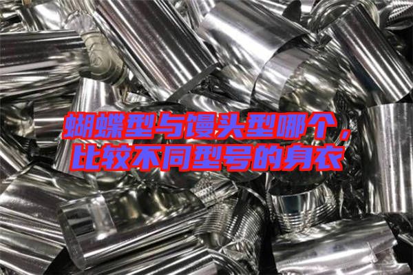 蝴蝶型與饅頭型哪個,比較不同型號的身衣