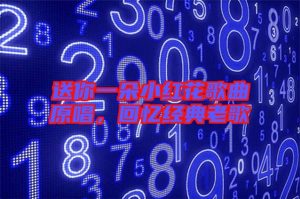 送你一朵小紅花歌曲原唱,回憶經典老歌