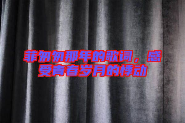 菲匆匆那年的歌詞,感受青春歲月的悸動(dòng)