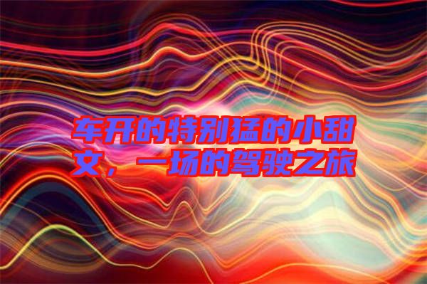 車(chē)開(kāi)的特別猛的小甜文,一場(chǎng)的駕駛之旅
