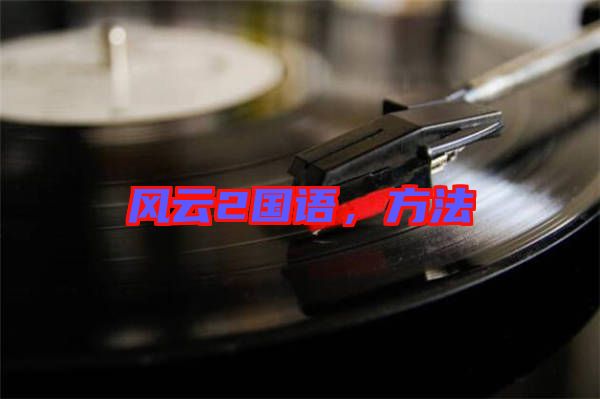風云2國語,方法