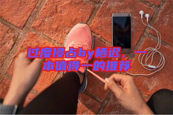 過(guò)度侵占by棲遲,一本值得一的推薦