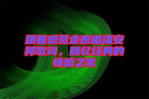 跟著感覺走原唱潘安邦歌詞,回憶經典的情感之歌