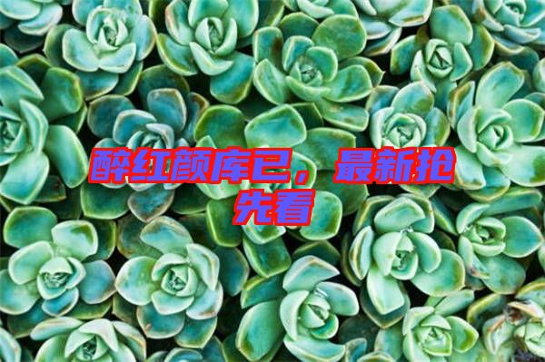 醉紅顏庫(kù)已,最新?lián)屜瓤? width=