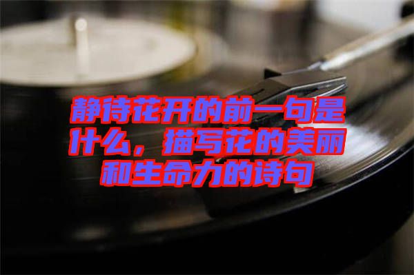 靜待花開的前一句是什么,描寫花的美麗和生命力的詩句