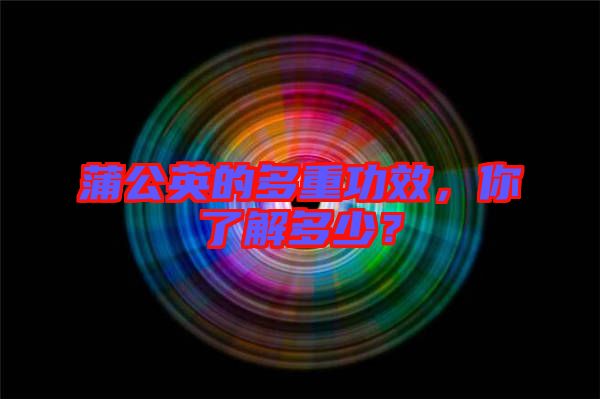 蒲公英的多重功效，你了解多少？