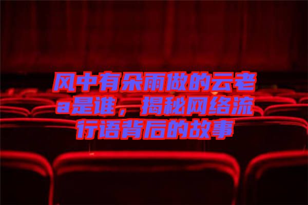 風中有朵雨做的云老a是誰,揭秘網絡流行語背后的故事