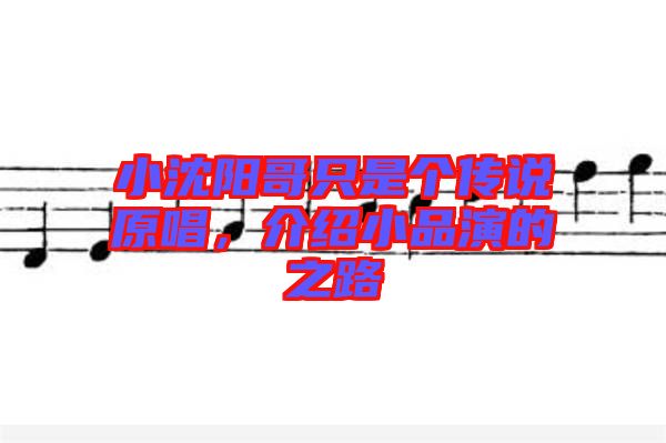 小沈陽哥只是個傳說原唱，介紹小品演的之路