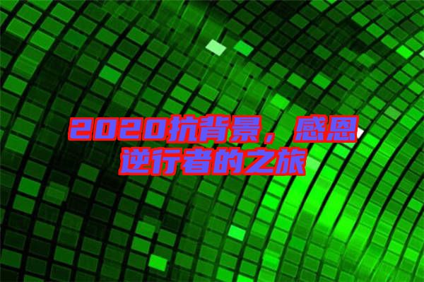 2020抗背景,感恩逆行者的之旅