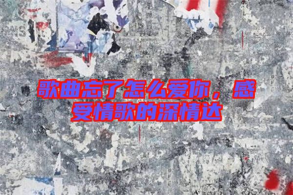 歌曲忘了怎么愛你,感受情歌的深情達