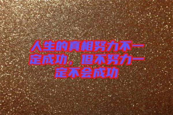 人生的真相努力不一定成功,但不努力一定不會成功