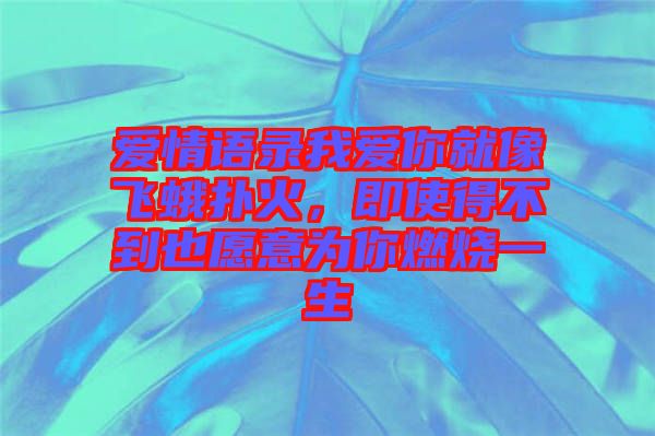 愛情語錄我愛你就像飛蛾撲火,即使得不到也愿意為你燃燒一生