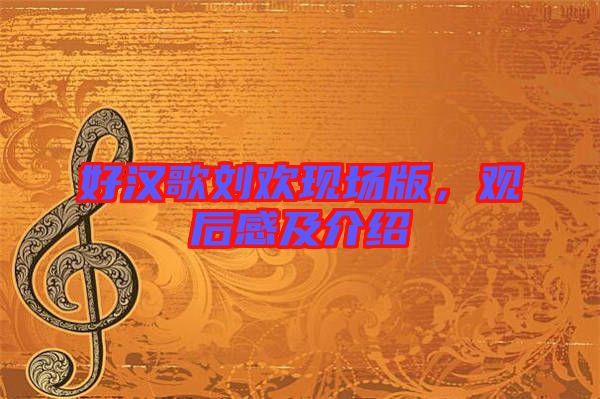 好漢歌劉歡現場版,觀后感及介紹