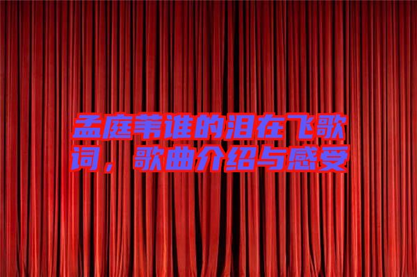 孟庭葦誰的淚在飛歌詞，歌曲介紹與感受