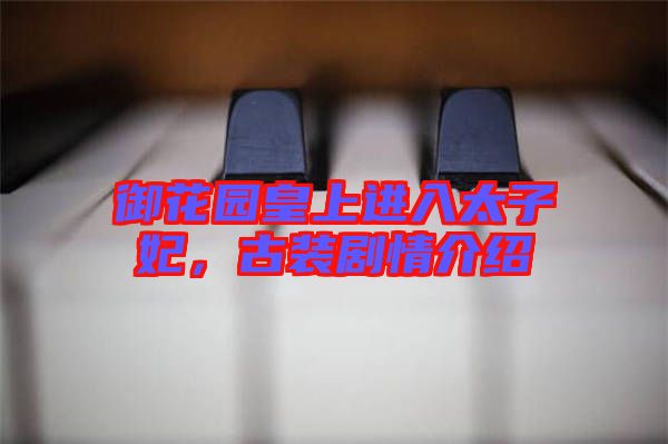 御花園皇上進(jìn)入太子妃,古裝劇情介紹