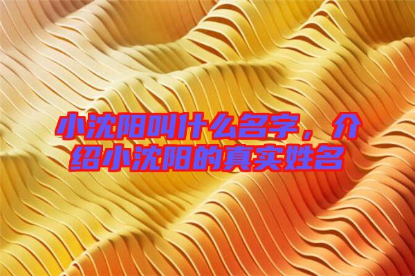 小沈陽叫什么名字,介紹小沈陽的真實姓名