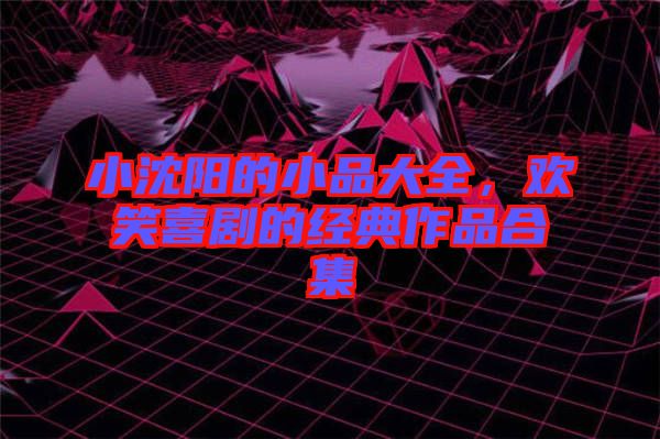 小沈陽的小品大全，歡笑喜劇的經典作品合集