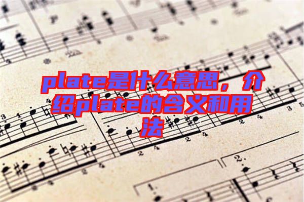 plate是什么意思,介紹plate的含義和用法