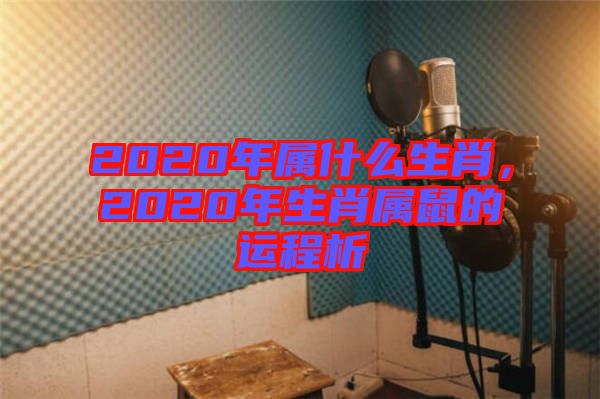 2020年屬什么生肖,2020年生肖屬鼠的運(yùn)程析