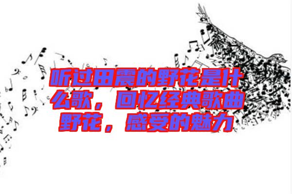 聽過田震的野花是什么歌,回憶經典歌曲野花,感受的魅力