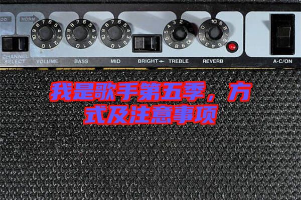 我是歌手第五季,方式及注意事項