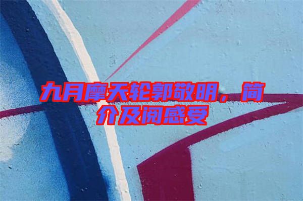 九月摩天輪郭敬明,簡介及閱感受