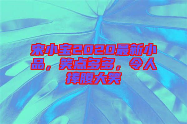 宋小寶2020最新小品,笑點多多,令人捧腹大笑