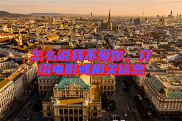 怎么說我不愛你，介紹電影或相關信息