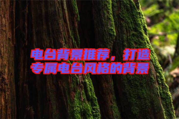 電臺背景推薦,打造專屬電臺風格的背景