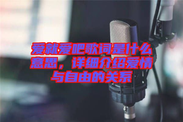 愛就愛吧歌詞是什么意思，詳細介紹愛情與自由的關系