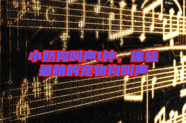 小奶狗叫聲1鐘,體驗最萌的寵物狗叫聲