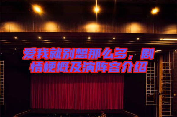 愛我就別想那么多，劇情梗概及演陣容介紹