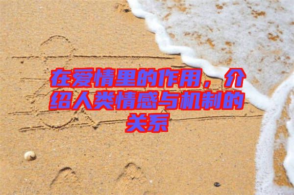 在愛情里的作用,介紹人類情感與機制的關系