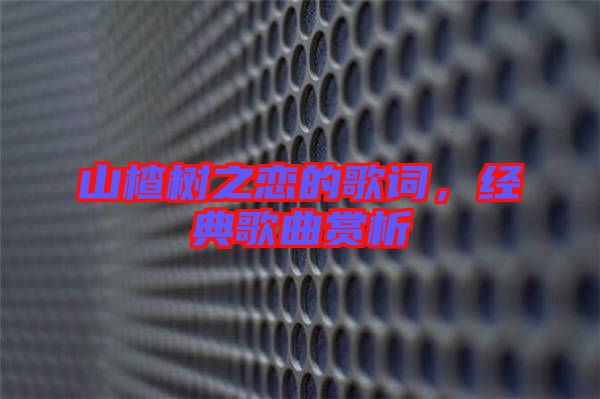 山楂樹之戀的歌詞,經典歌曲賞析