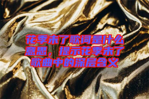 花季未了歌詞是什么意思,提示花季未了歌曲中的深層含義